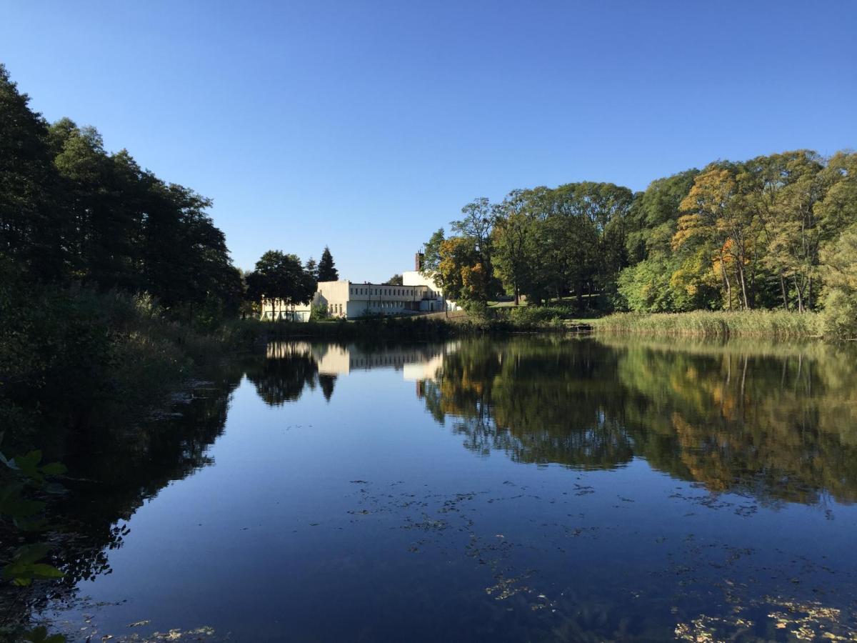 Camping Lesne Ustronie Hotel Witnica Kültér fotó
